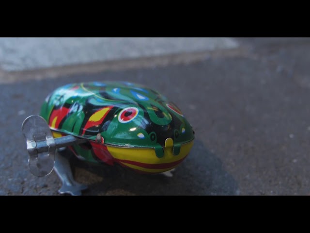 Frog’s Freedom
