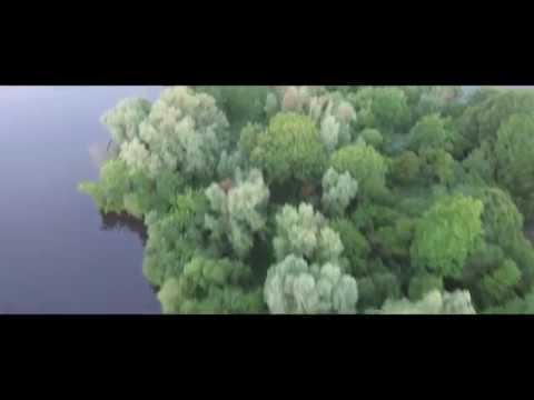 Natuur in Lelystad Zuigerplasbos